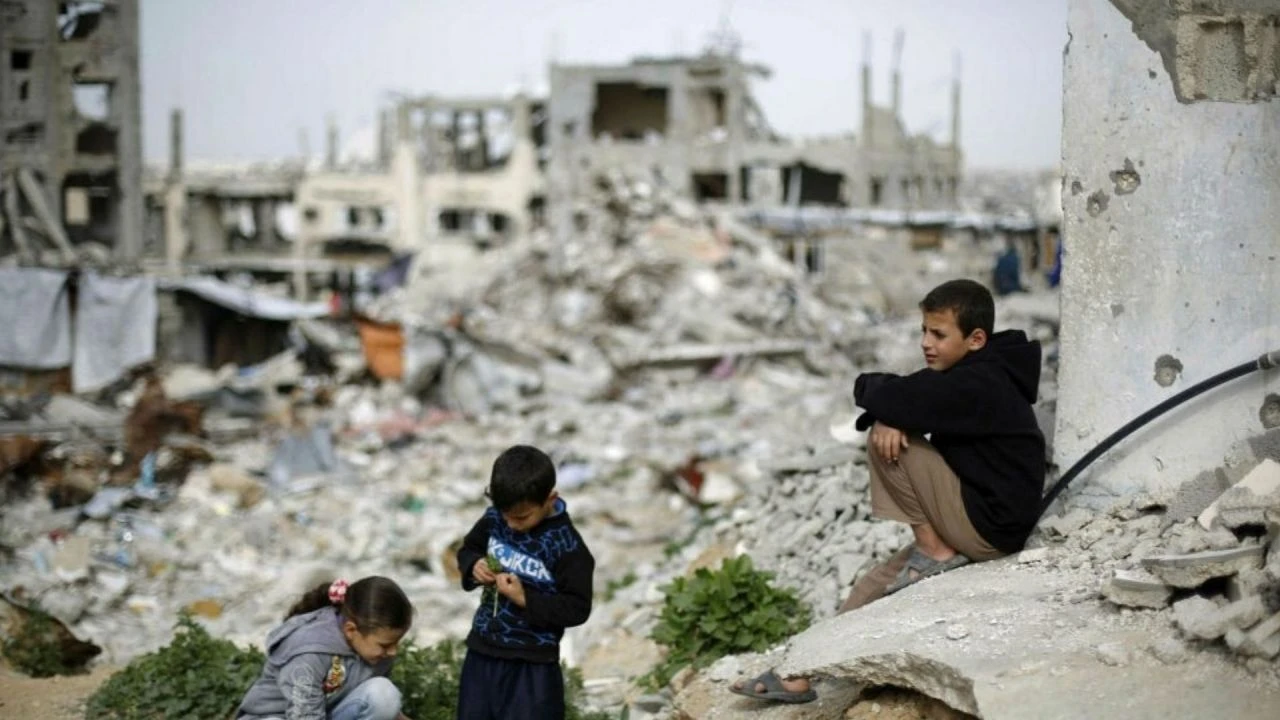 Filistinlileri hayatta tutan bitki! Savaş alanına dönen yollardan topluyorlar - 2. Resim