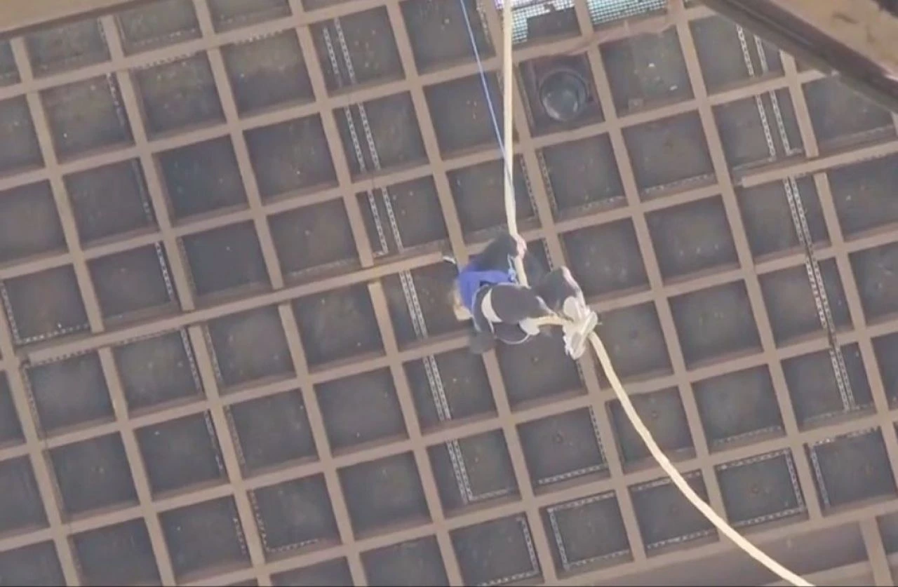 Annesinin hastalığı sonrası Eyfel Kulesi'ne tırmandı rekor kırdı - 1. Resim