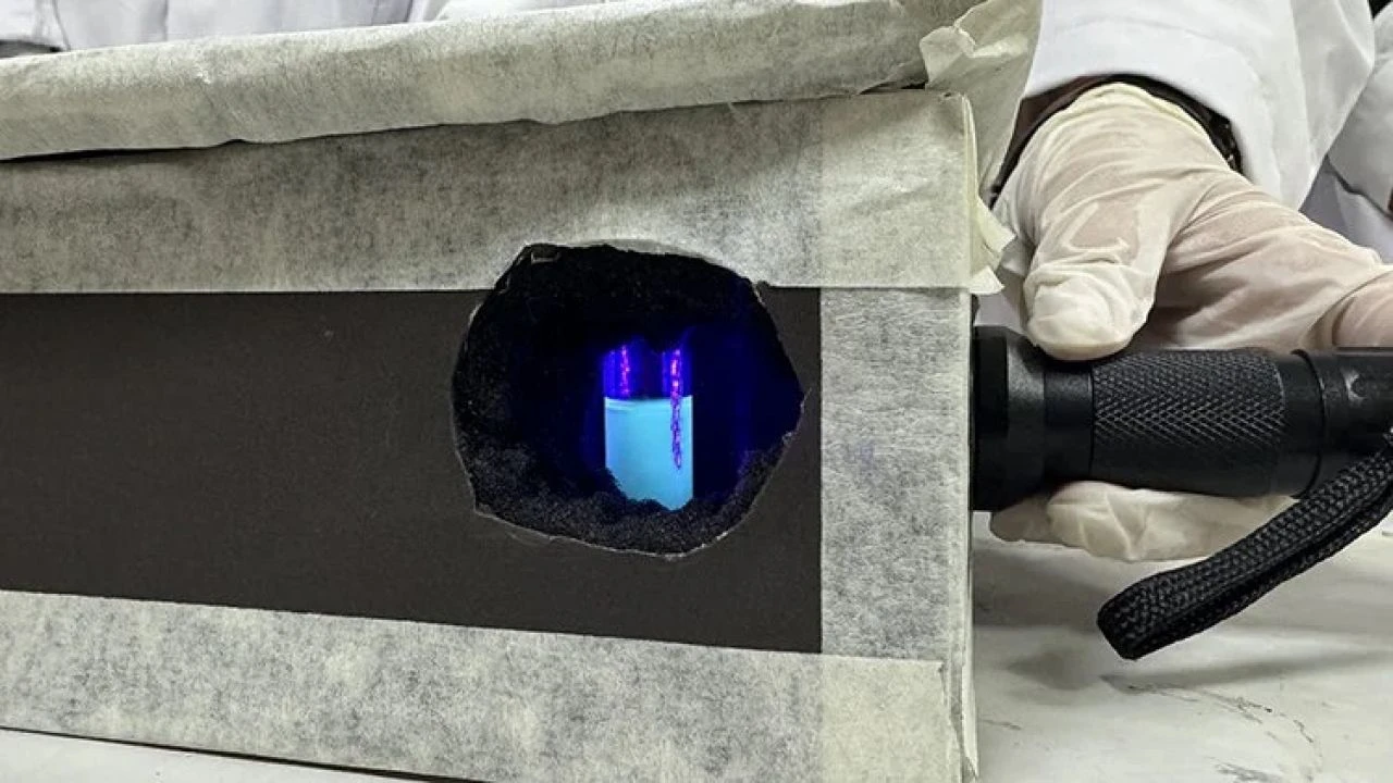 Balık kılçığından ürettiler: Liseli öğrencilerden insan sağlığı için önemli buluş - 2. Resim