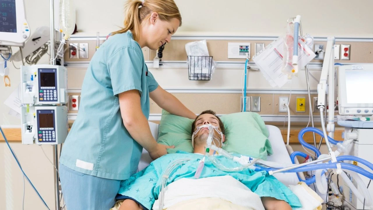 Felaket haberini Türk bilim insanları verdi! Kapı pencere kapattıracak kuş gribi geliyor - 2. Resim