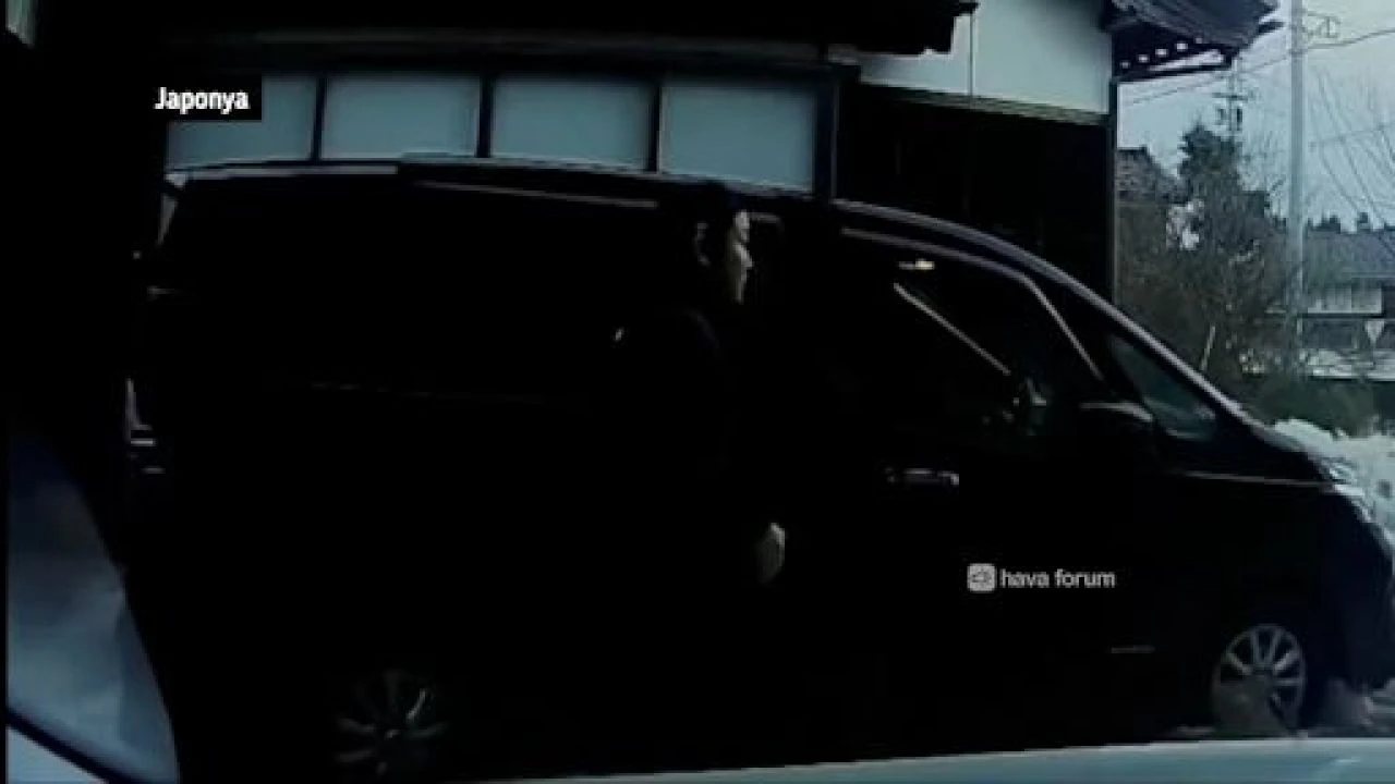 Japonya'daki korkunç tsunaminin yeni görüntüleri ortaya çıktı - 1. Resim