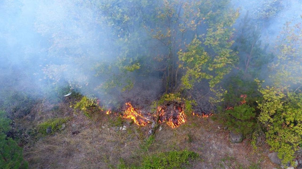 Sinop&#039;taki orman yangınında 5 hektarlık alan küle döndü 