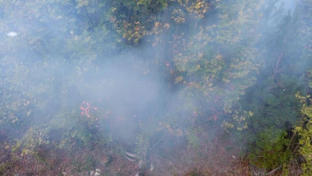 Sinop'taki orman yangınında 5 hektarlık alan küle döndü 