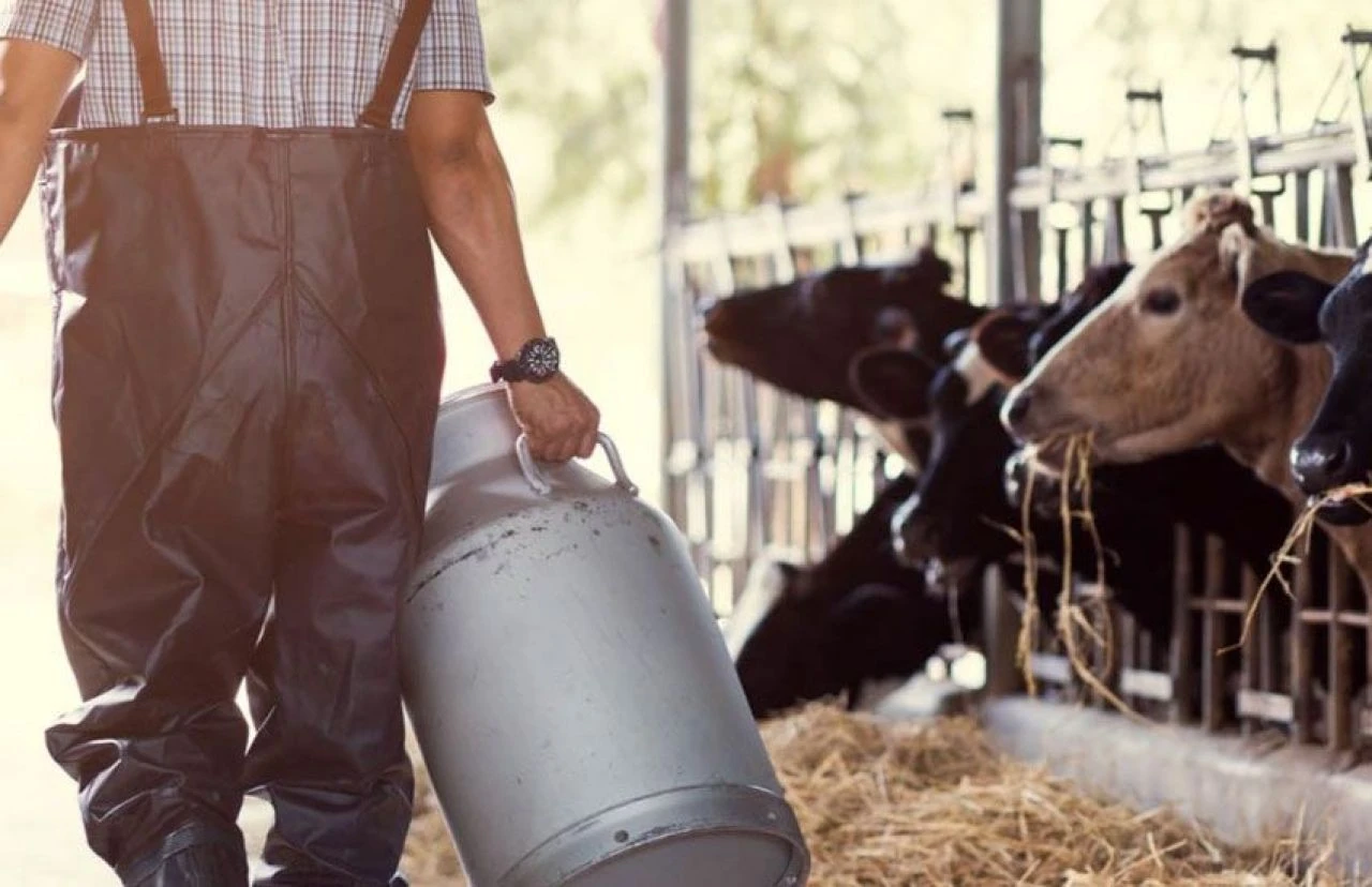 Süt fiyatlarına zam!