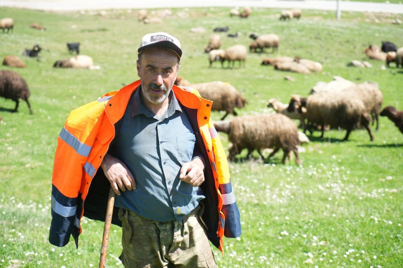 40 bin TL maaşla çalışacak çoban bulunamıyor!