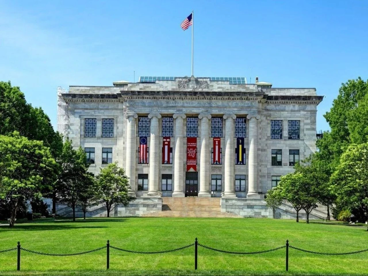 El, beyin, kafatası... Bir dizi organı internetten sattılar! Harvard skandalında itiraf geldi - 1. Resim