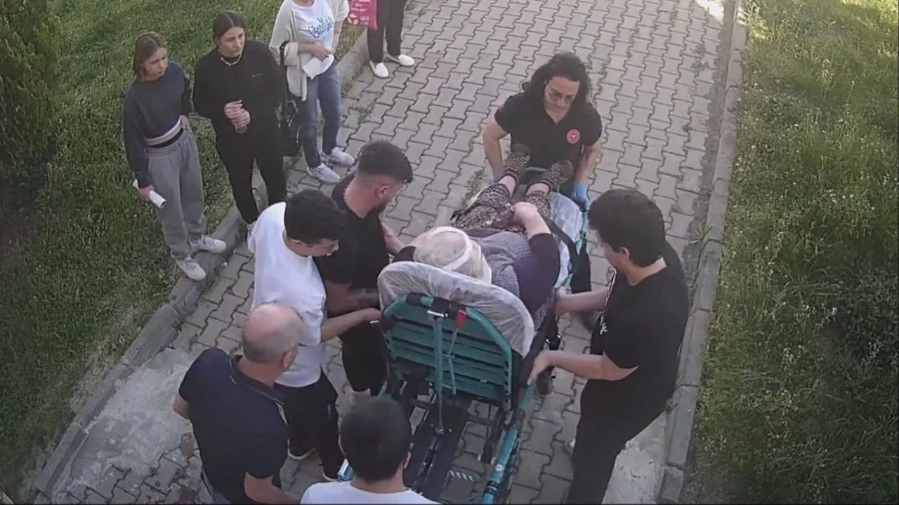 Köpekler 74 yaşındaki kadını tanınmaz hale getirdi! Yardım çığlıklarına koştular - 1. Resim