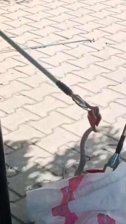 Okul bahçesinde gören çocuklar dehşete düştü! Yakalanınca alkışladılar