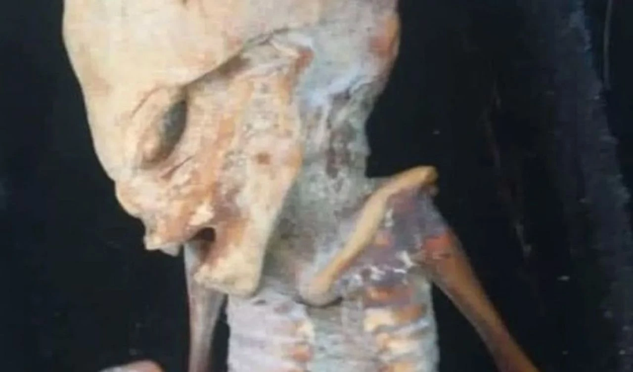 Ona dokunmak cesaret istiyor! Ele alınamayacak kadar korkutucu 'bebek uzaylı' keşfedildi - 4. Resim