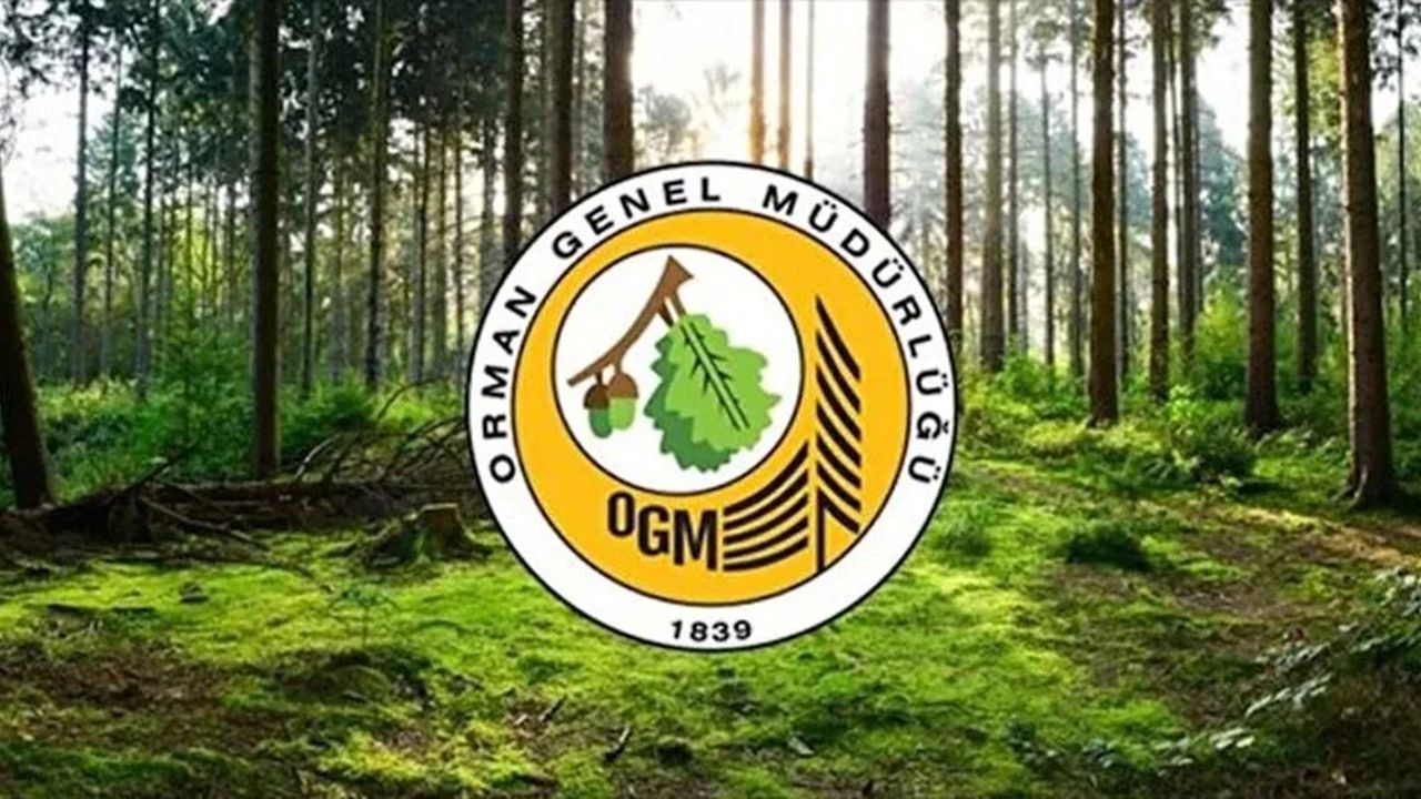 Orman Genel Müdürlüğü 124 sözleşmeli personel alımı yapacak