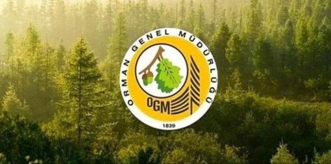 Orman Genel Müdürlüğü 124 sözleşmeli personel alımı yapacak - 1. Resim