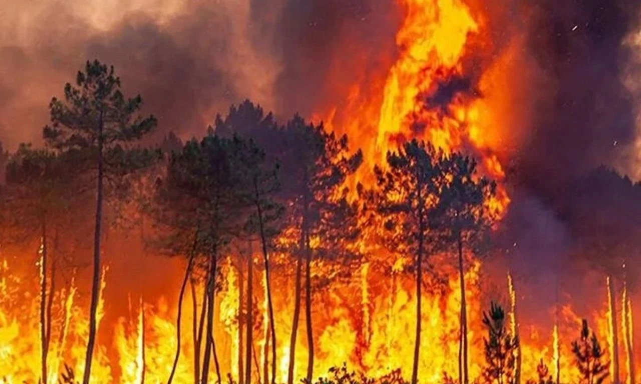 Valilikten vatandaşlara kritik uyarı: Gördüğünüz gibi ihbarda bulunun! - 1. Resim