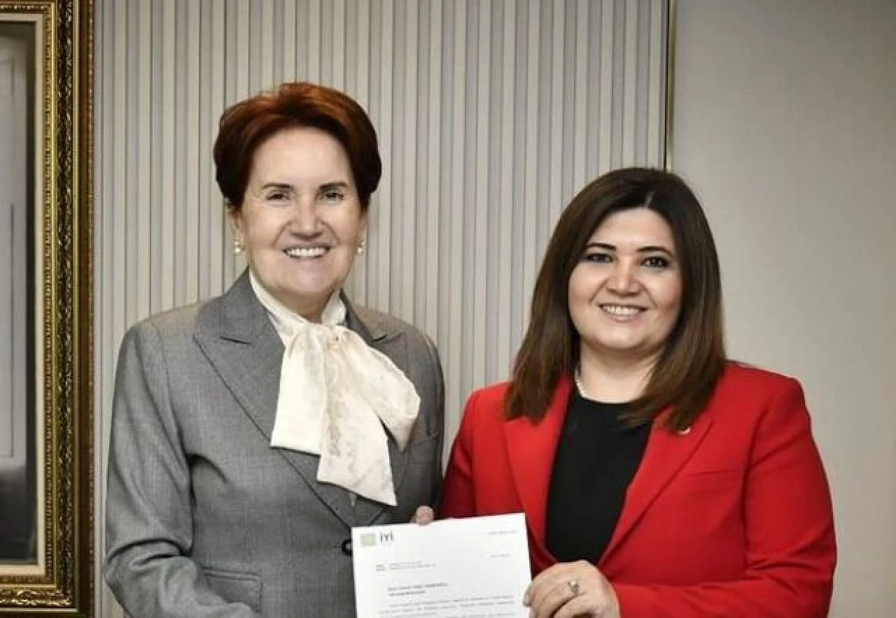 Selcan Hamşıoğlu hakkında bilgiler