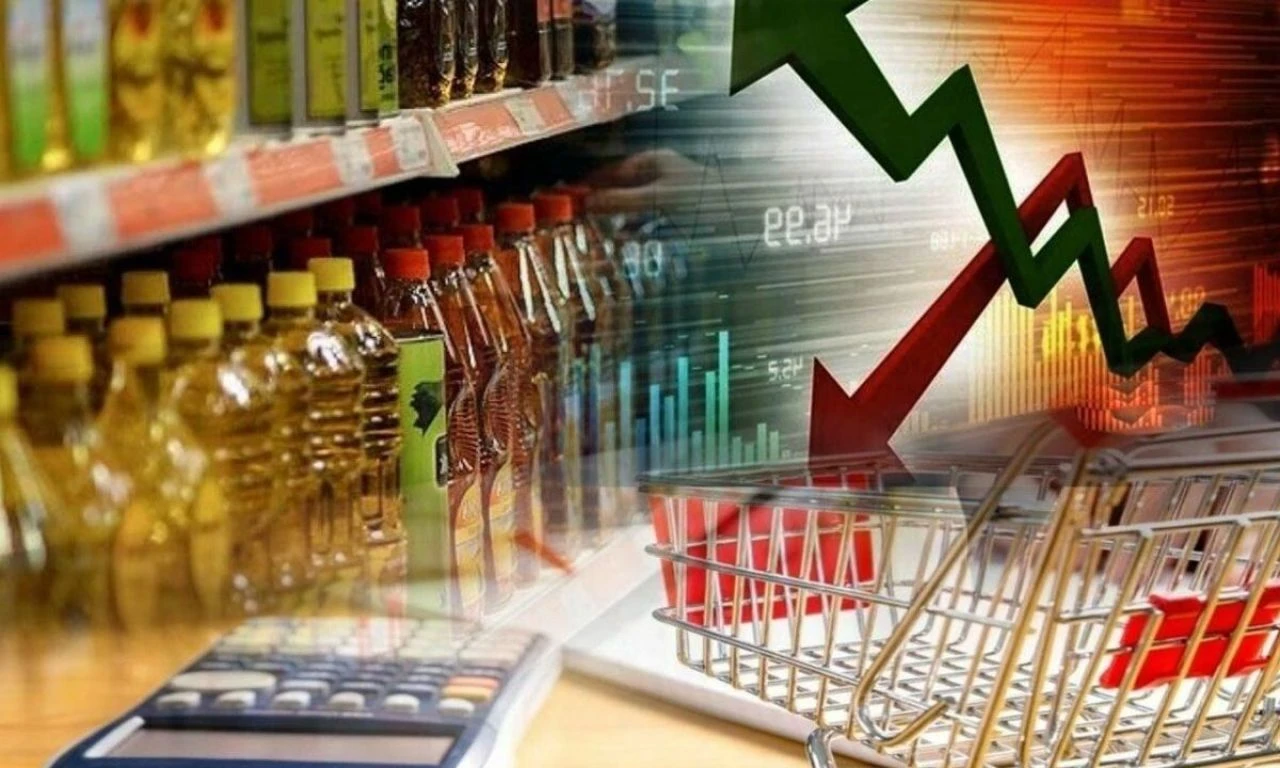 Ünlü ekonomist Mahfi Eğilmez IMF raporunu baz aldı! İşte 2024 enflasyon ve büyüme tahmini - 3. Resim