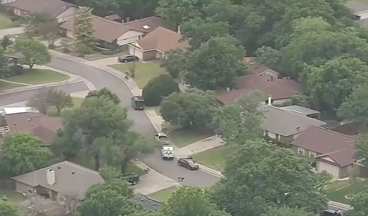 Akıllara durgunluk veren olay! Bakıcının köpekleri küçük çocuğu paramparça etti