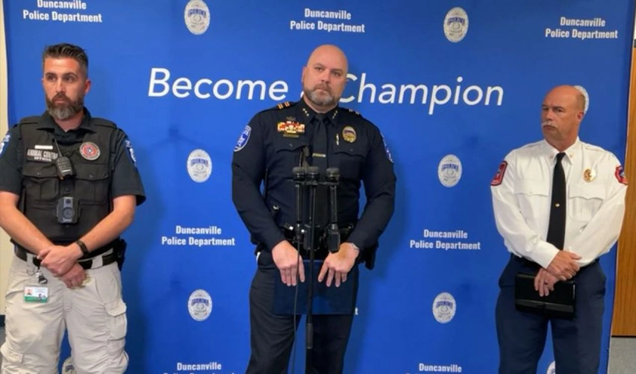 Akıllara durgunluk veren olay! Bakıcının köpekleri küçük çocuğu paramparça etti