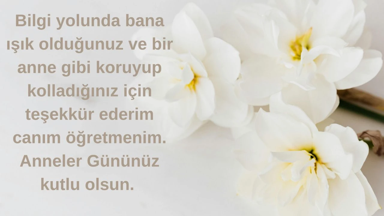 Anneler Gününde ablaya ve öğretmene gönderilecek en anlamlı mesajlar - 3. Resim