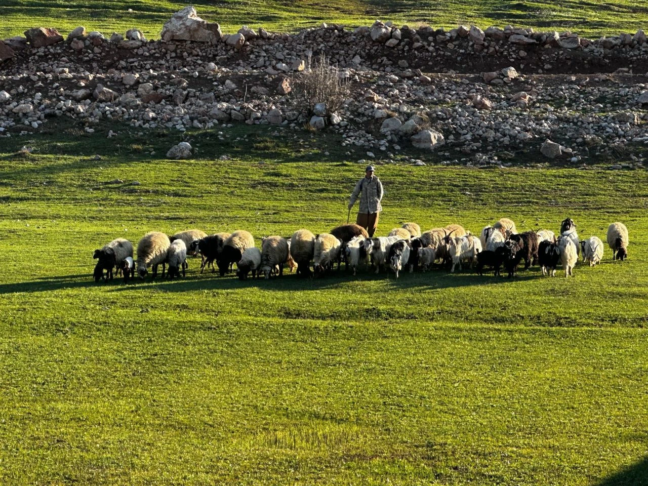 Hakkari'de belgesel tadında görüntüler: Kartpostalları aratmadı - 2. Resim