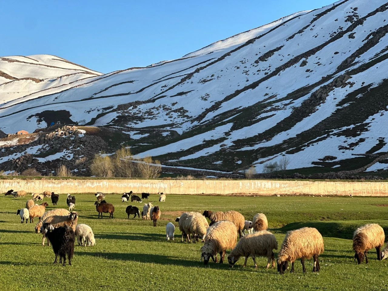 Hakkari'de belgesel tadında görüntüler: Kartpostalları aratmadı - 1. Resim