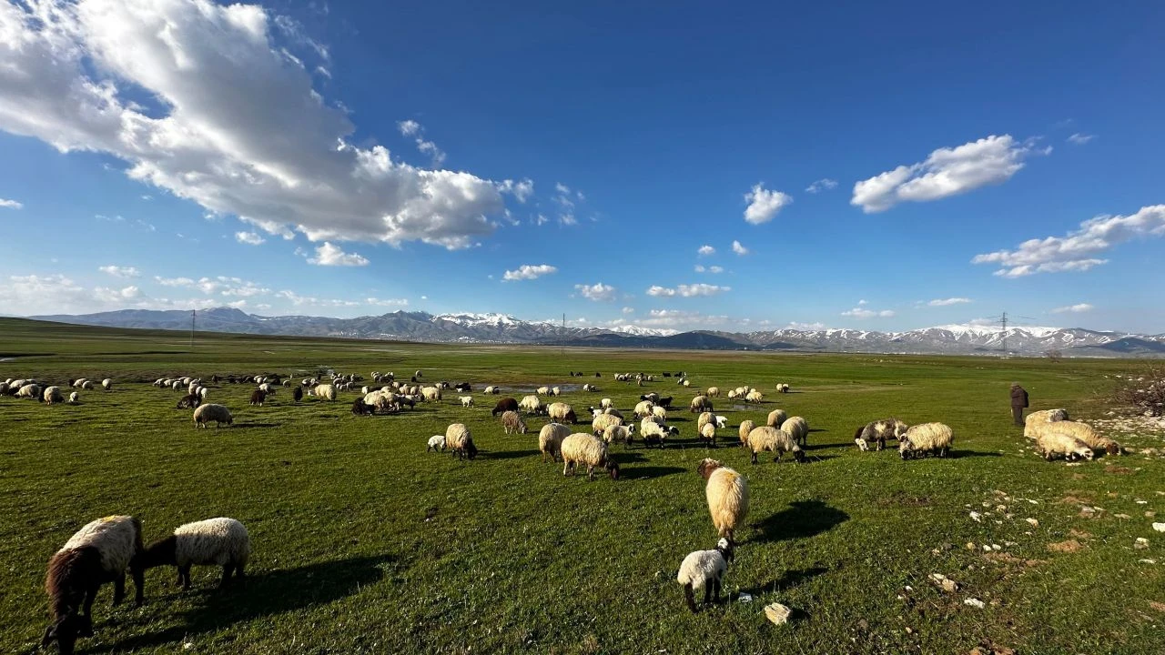 Hakkari'de belgesel tadında görüntüler: Kartpostalları aratmadı - 3. Resim