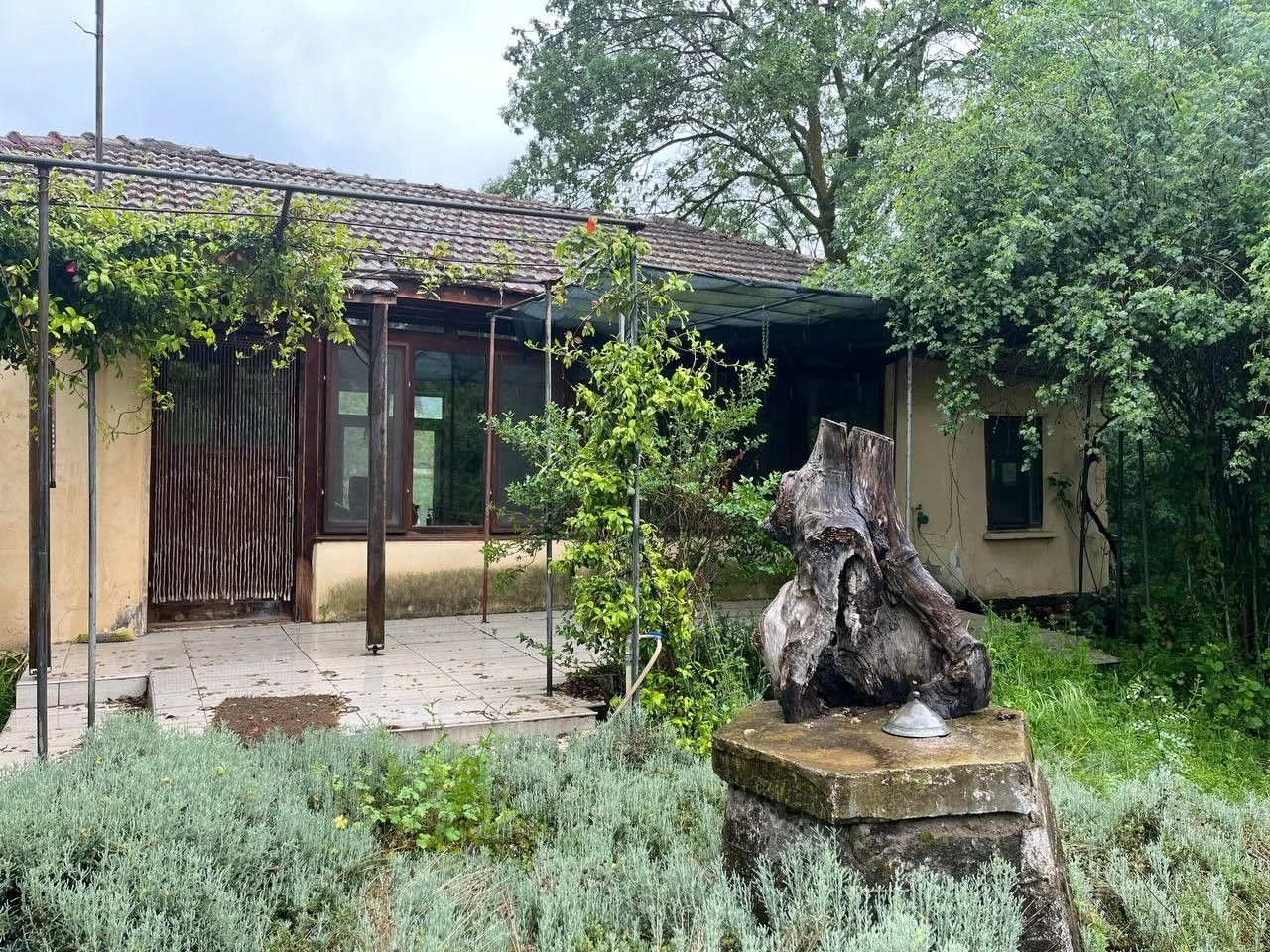 Bir bir köyü terk ediyorlar! Kalanlar ise korkudan dışarı çıkamıyor