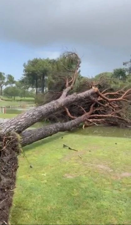 Meteoroloji sarı kodla uyarmıştı! Antalya'da şiddetli fırtına başladı: Ağaçlar devrildi