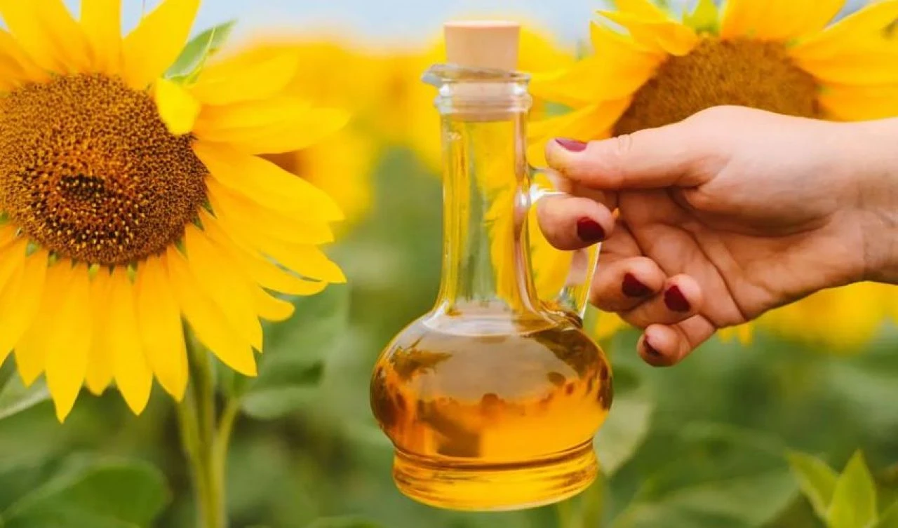 Ayçiçek fiyatları yükselişe geçti, TZOB'dan açıklama geldi