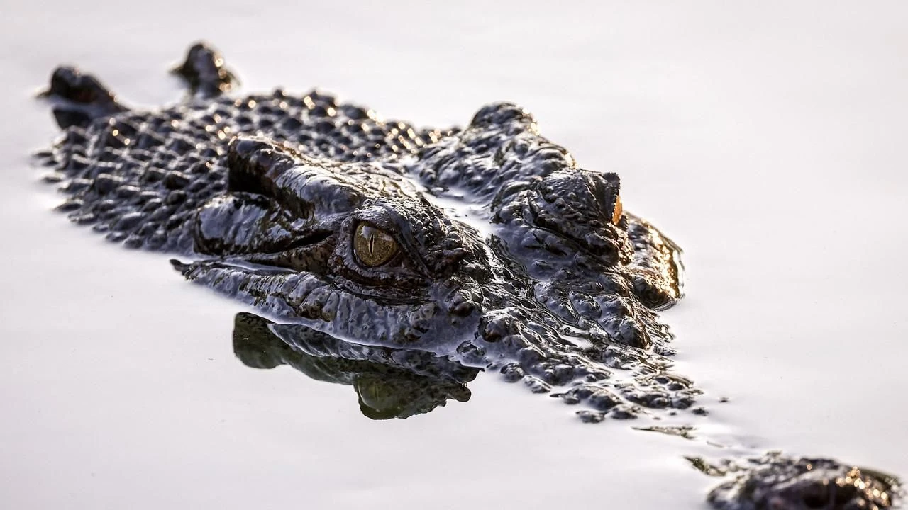 Botları bozulan gençlerin acı sonları! Cesetteki yara izleri gerçeği ortaya çıkardı
