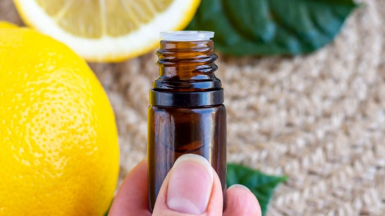 Canan Karatay "limon yağını yatağınıza kıyafetlerinize dökün" dedi! Mışıl mışıl uyumanın formülü