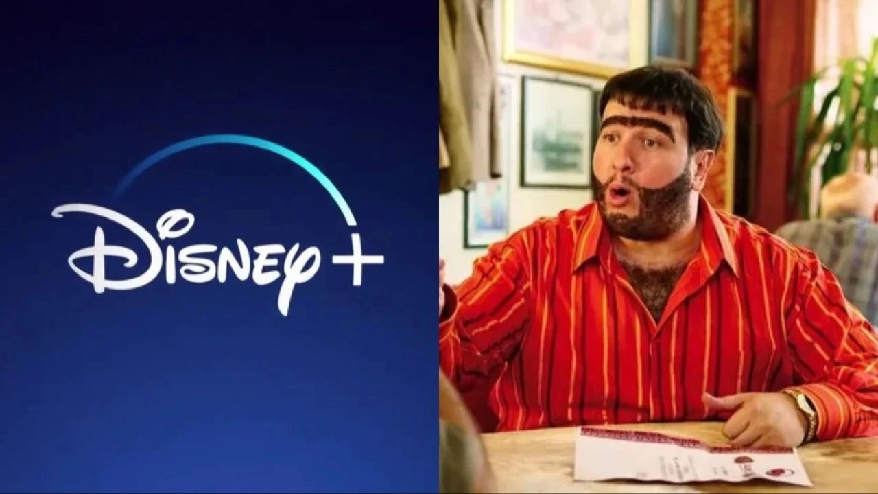 Disney+ geri adım attı: Türk dizi ve filmlerini yeniden yayınlayacak - 1. Resim