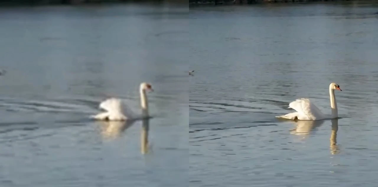 Adobe, 'çamur gibi' videoları HD kaliteye getiren yapay zeka aracını tanıttı - 2. Resim