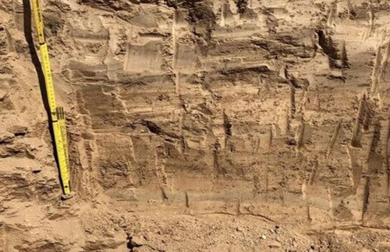 Bilim insanlarından ilginç keşif! Dünyanın en sıcak çölünde 'gizli yaşam'ları görüldü - 1. Resim