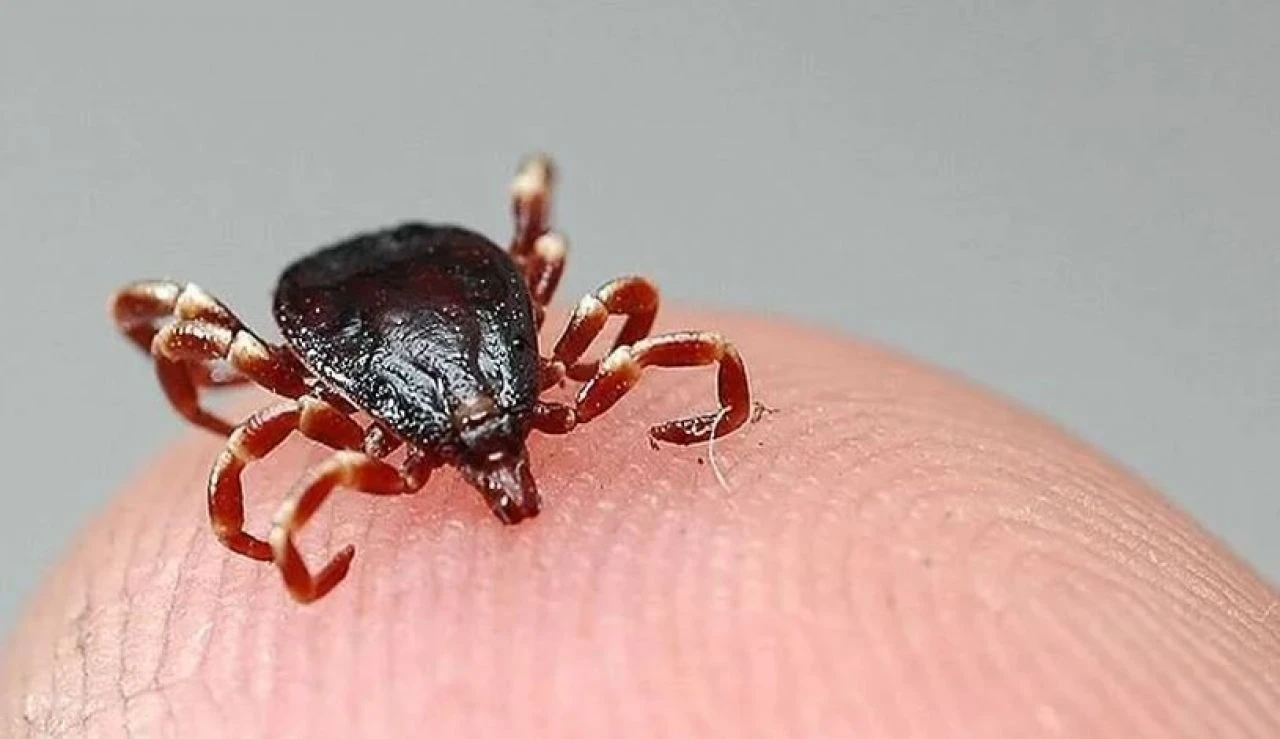 Uzmanlar Gümüşhane'yi işaret edip "en riskli noktalardan biri" diyerek uyardı