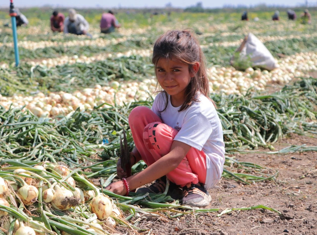 Günlük 50 liraya tarlada çalışan 14 yaşındaki çocuğun sözleri yürek yaktı: "Kardeşimi okutacağım" - 1. Resim