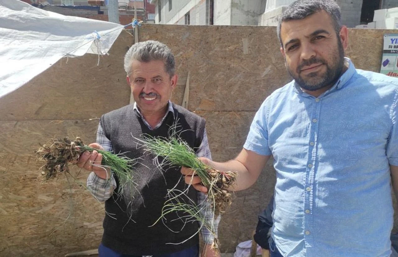 Çok az kişi biliyor! Kilosu 5 bin TL: Bölgenin tek geçim kaynağı - 2. Resim