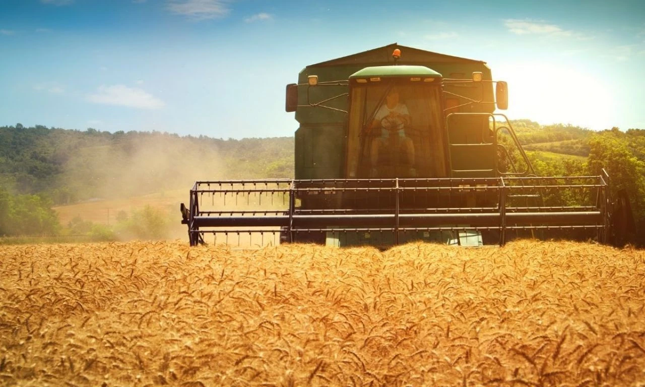 Buğdayın maliyeti yüzde 62 arttı! Üretici TMO’dan buğday fiyatı bekliyor - 1. Resim