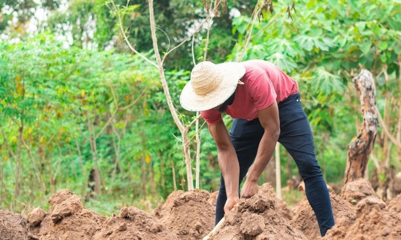 Mevsimlik tarım işçilerinin çalışma şartlarında değişiklik! Yeni düzenleme devreye girdi