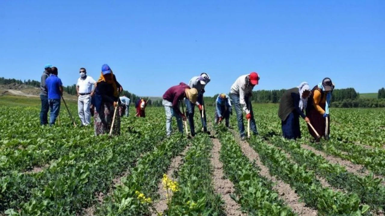 Mevsimlik tarım işçilerinin çalışma şartlarında değişiklik! Yeni düzenleme devreye girdi