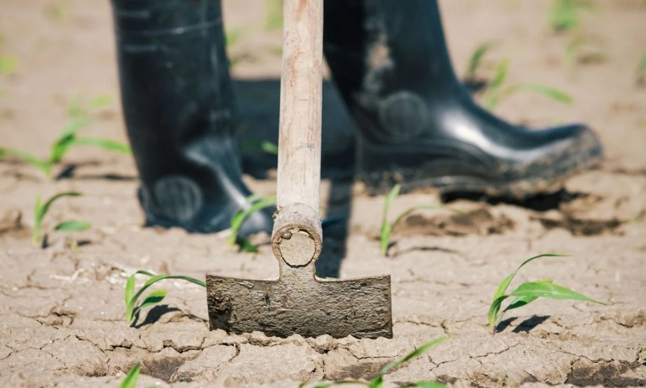 Mevsimlik tarım işçilerinin çalışma şartlarında değişiklik! Yeni düzenleme devreye girdi