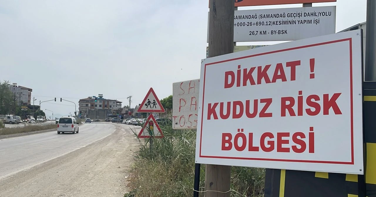 Türkiye'de görülen kuduz vakasında kritik süreç! Karantina bölgesinde kovalamaca anları - 1. Resim