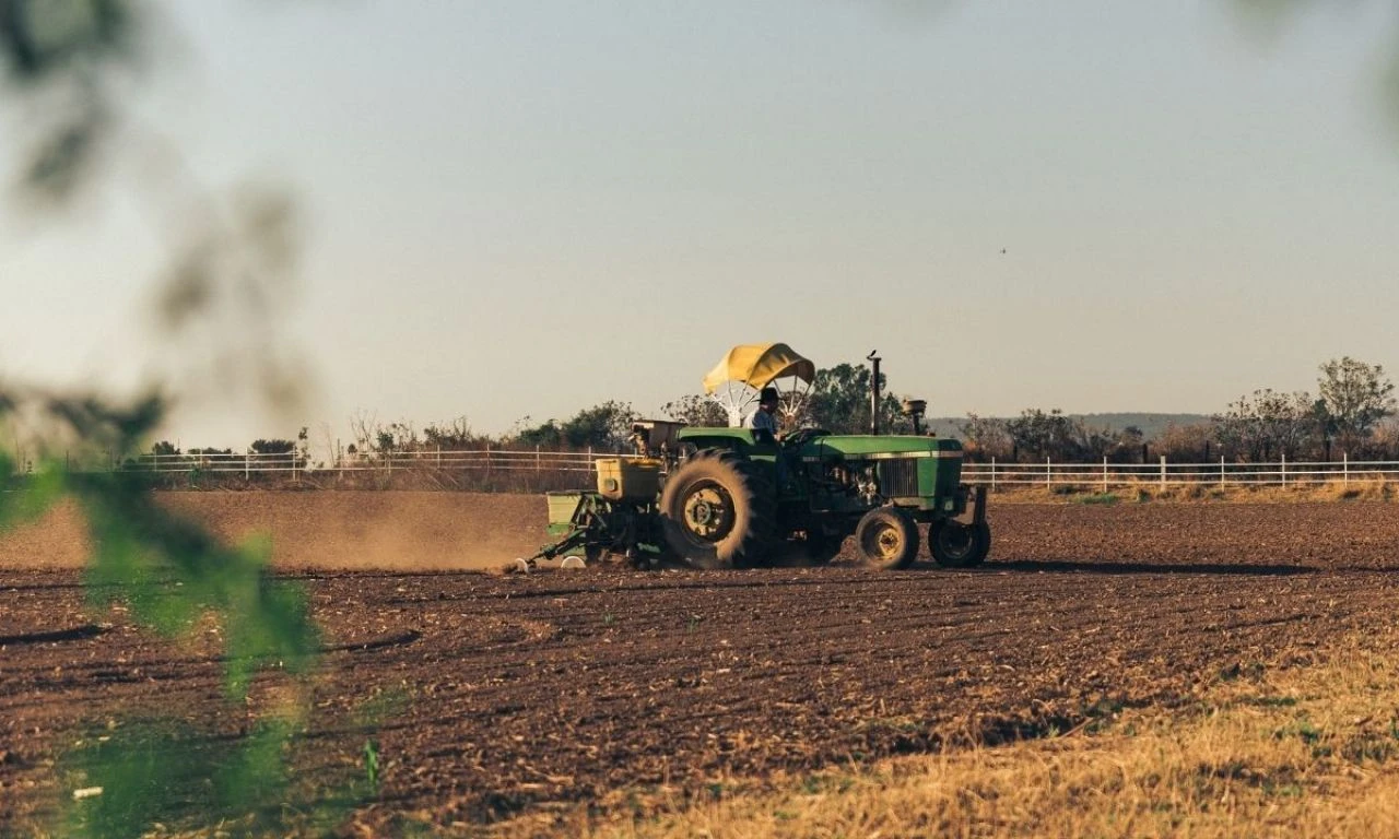 2024 hasat sezonu başlıyor! Bakan Yumaklı duyurdu: TMO randevu sistemi hazır