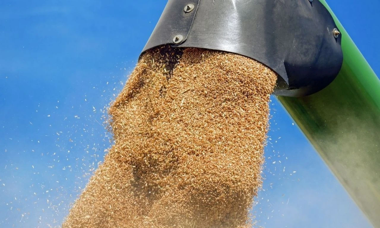 2024 hasat sezonu başlıyor! Bakan Yumaklı duyurdu: TMO randevu sistemi hazır