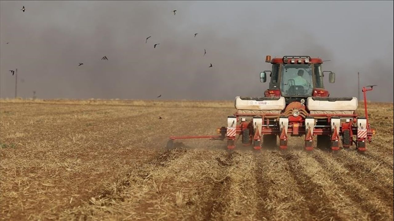 2024 hasat sezonu başlıyor! Bakan Yumaklı duyurdu: TMO randevu sistemi hazır