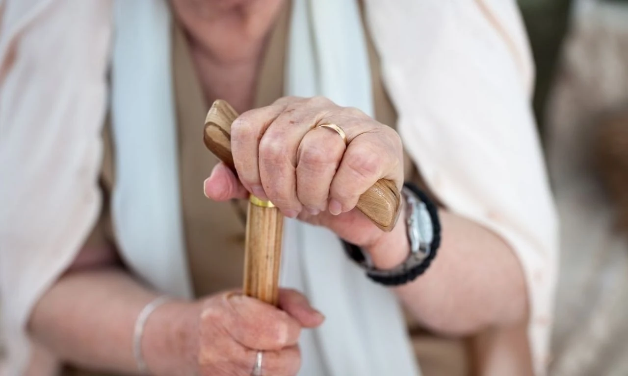 Aile ve Sosyal Hizmetler Bakanlığı duyurdu! Yaşlı Destek Programı'na başvurular başladı - 2. Resim