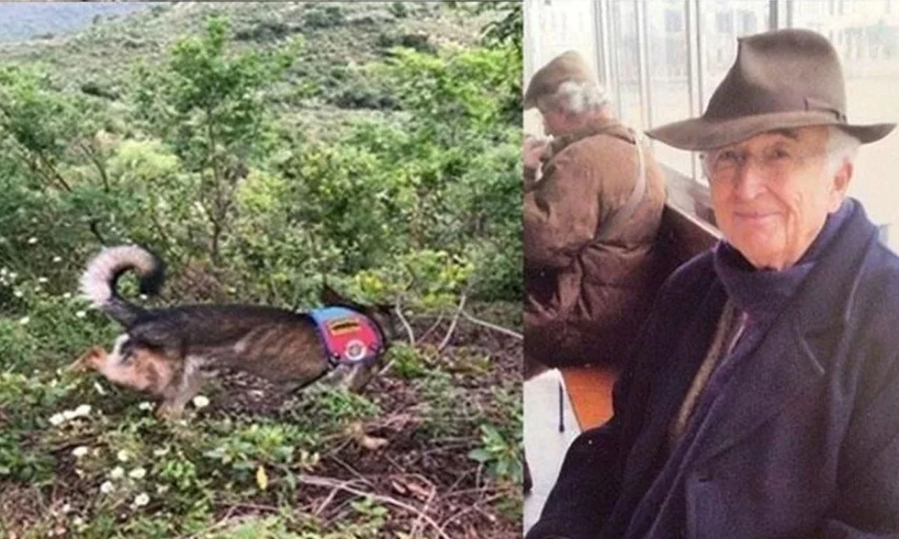 Korhan Berzeg olayında yeni gelişme: Yeni bulgular aranıyor - 2. Resim