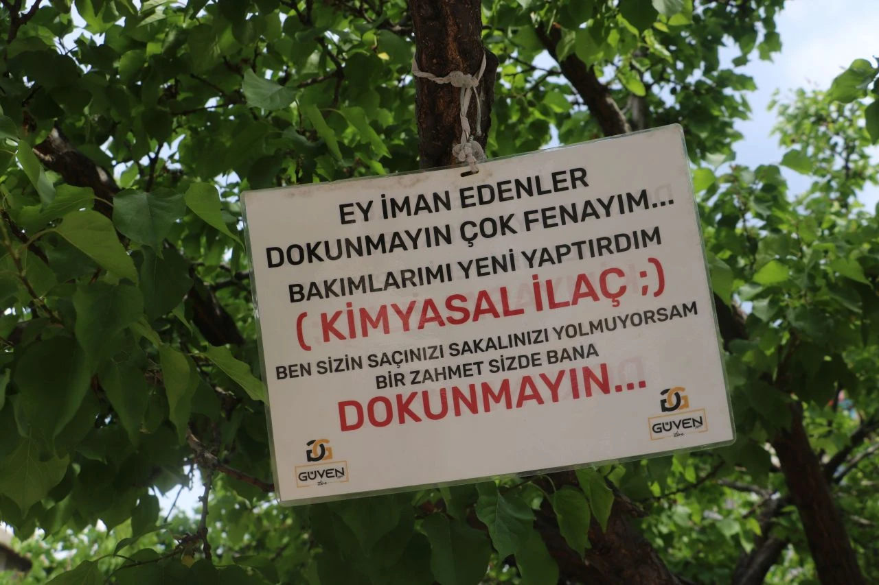 Baba yadigarı ağacı korumak için öyle bir not astı ki gören 2 kez düşündü