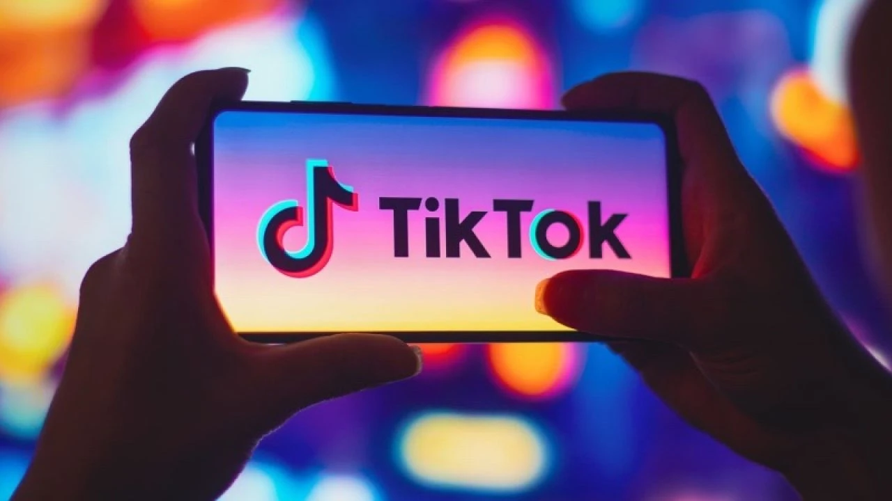 TikTok Türkiye'den tartışmalara cevap: 'TBMM'ye gitmeye hazırız' - 2. Resim