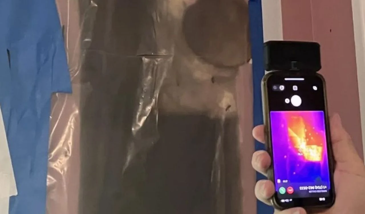 Ailesine 'odamda canavar var' dedi! Gerçek şoke etti - 3. Resim