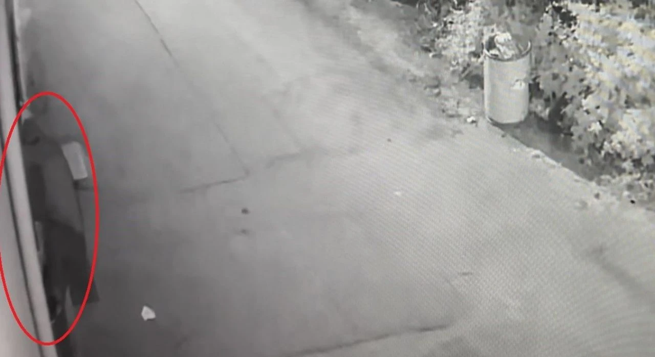 Birinci katta yaşayanların korkulu rüyasıydı... Kıskıvrak yakalandı