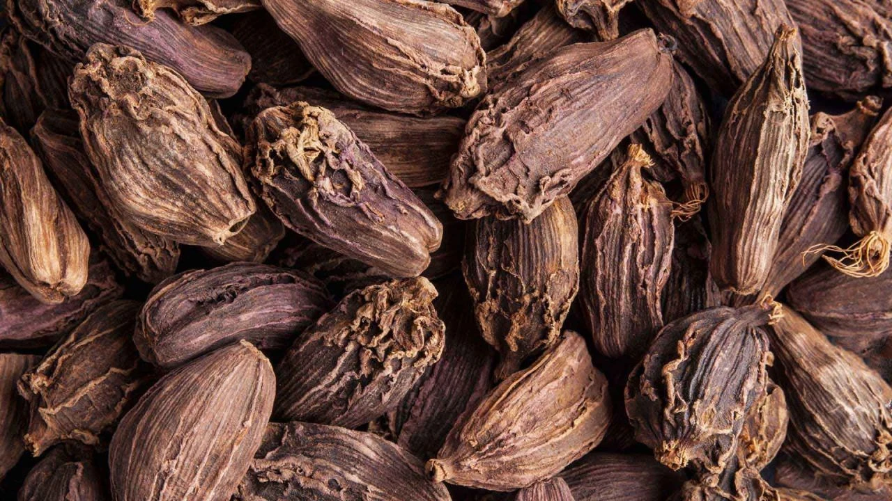 Tansiyon hastalarının doğal ilacı! Kanuni Sultan Süleyman'ın keyif kahvesi: Kakule - 1. Resim